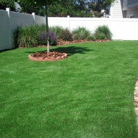 Fake Turf Eatonville Florida Landscape