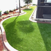 Fake Turf Ferndale Florida Landscape Front Yard