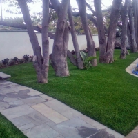 Fake Turf Hawthorne Florida Lawn Back Yard