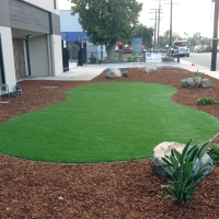 Fake Turf Lacoochee Florida Landscape Back Yard