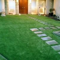 Fake Turf Leesburg Florida Lawn Front Yard