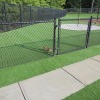 Fake Turf Oakland Florida Kindergarten Front Yard