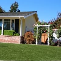 Fake Turf Okahumpka Florida Lawn Front Yard