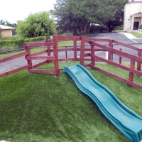 Fake Turf Tangerine Florida Lawn Back Yard