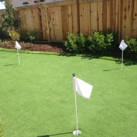 Putting Greens Hawthorne Florida Artificial Turf Back Yard