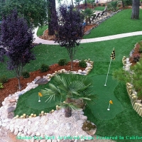 Putting Greens Holden Heights Florida Fake Grass