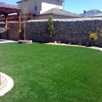 Synthetic Grass Astatula Florida Lawn