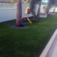 Synthetic Grass Combee Settlement Florida Lawn