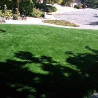 Synthetic Grass Cypress Gardens Florida Lawn Back Yard