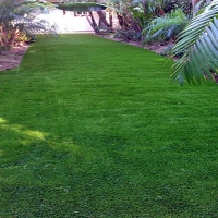 Synthetic Grass Daytona Beach Florida Landscape