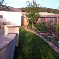 Synthetic Grass Forest City Florida Landscape