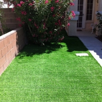 Synthetic Grass Four Corners Florida Landscape Back Yard