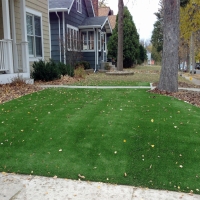 Synthetic Grass Heathrow Florida Lawn Front Yard