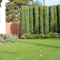 Synthetic Grass Holly Hill Florida Landscape Front Yard