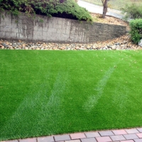 Synthetic Grass Lacoochee Florida Lawn Front Yard