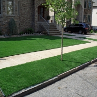 Synthetic Grass Midway Florida Landscape Back Yard