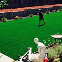 Synthetic Grass Orange City Florida Lawn Commercial Landscape