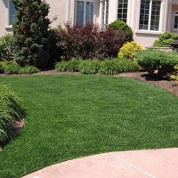 Synthetic Grass Windermere Florida Landscape Swimming Pools