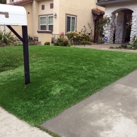 Synthetic Turf Alturas Florida Lawn Front Yard