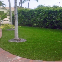 Synthetic Turf Bithlo Florida Lawn Commercial Landscape