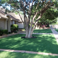 Synthetic Turf Chuluota Florida Landscape Front Yard