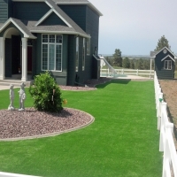 Synthetic Turf Clermont Florida Landscape