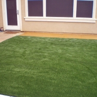 Synthetic Turf Crooked Lake Park Florida Lawn Front Yard