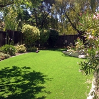 Synthetic Turf Doctor Phillips Florida Lawn