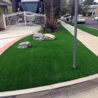 Synthetic Turf Four Corners Florida Lawn Back Yard