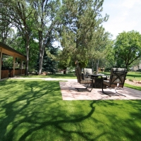 Synthetic Turf Goldenrod Florida Landscape Back Yard