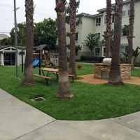 Synthetic Turf Gotha Florida Lawn Front Yard