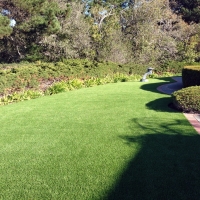 Synthetic Turf Lake Mary Florida Landscape Back Yard