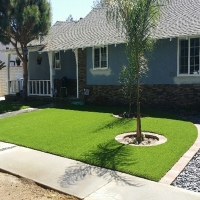 Synthetic Turf Lisbon Florida Lawn Back Yard