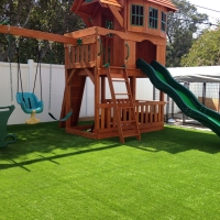 Synthetic Turf Montverde Florida Kindergarten Front Yard