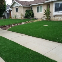 Synthetic Turf Okahumpka Florida Landscape Back Yard