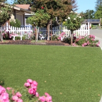 Synthetic Turf Sharpes Florida Landscape