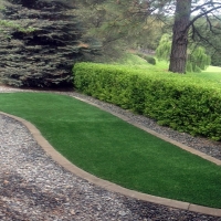 Synthetic Turf Wildwood Florida Landscape Front Yard