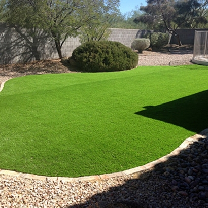 Artificial Grass Astor Florida Landscape Back Yard