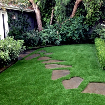 Artificial Grass Cape Canaveral Florida Landscape Parks