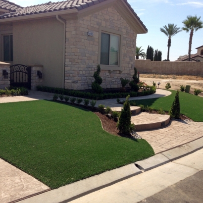 Artificial Grass Casselberry Florida Landscape