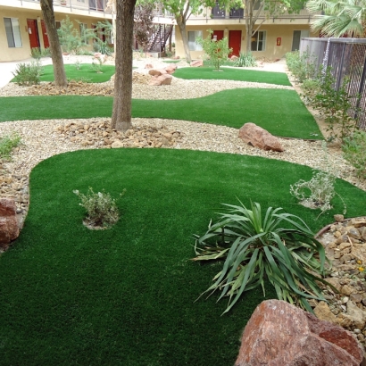 Artificial Grass Christmas Florida Landscape Back Yard