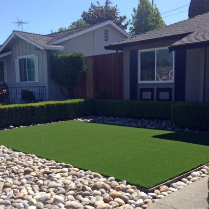 Artificial Grass Clarcona Florida Lawn Commercial Landscape