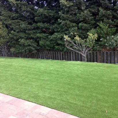 Artificial Grass Cocoa West Florida Lawn Back Yard