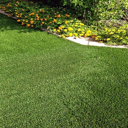 Artificial Grass Coleman Florida Lawn