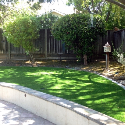 Artificial Grass Cypress Gardens Florida Lawn Pavers Back