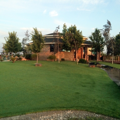 Artificial Grass Fern Park Florida Landscape Back Yard