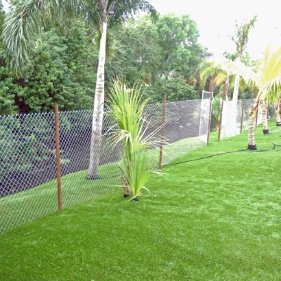 Artificial Grass Ferndale Florida Lawn Front Yard