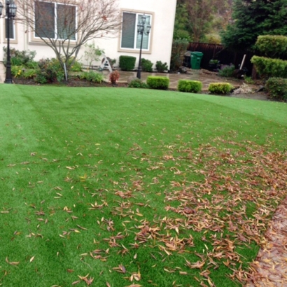 Artificial Grass Gibsonia Florida Lawn Back Yard