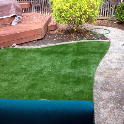 Artificial Grass Highland City Florida Lawn Front Yard