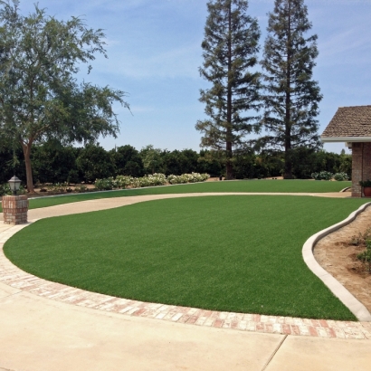 Artificial Grass Lake Mack-Forest Hills Florida Landscape